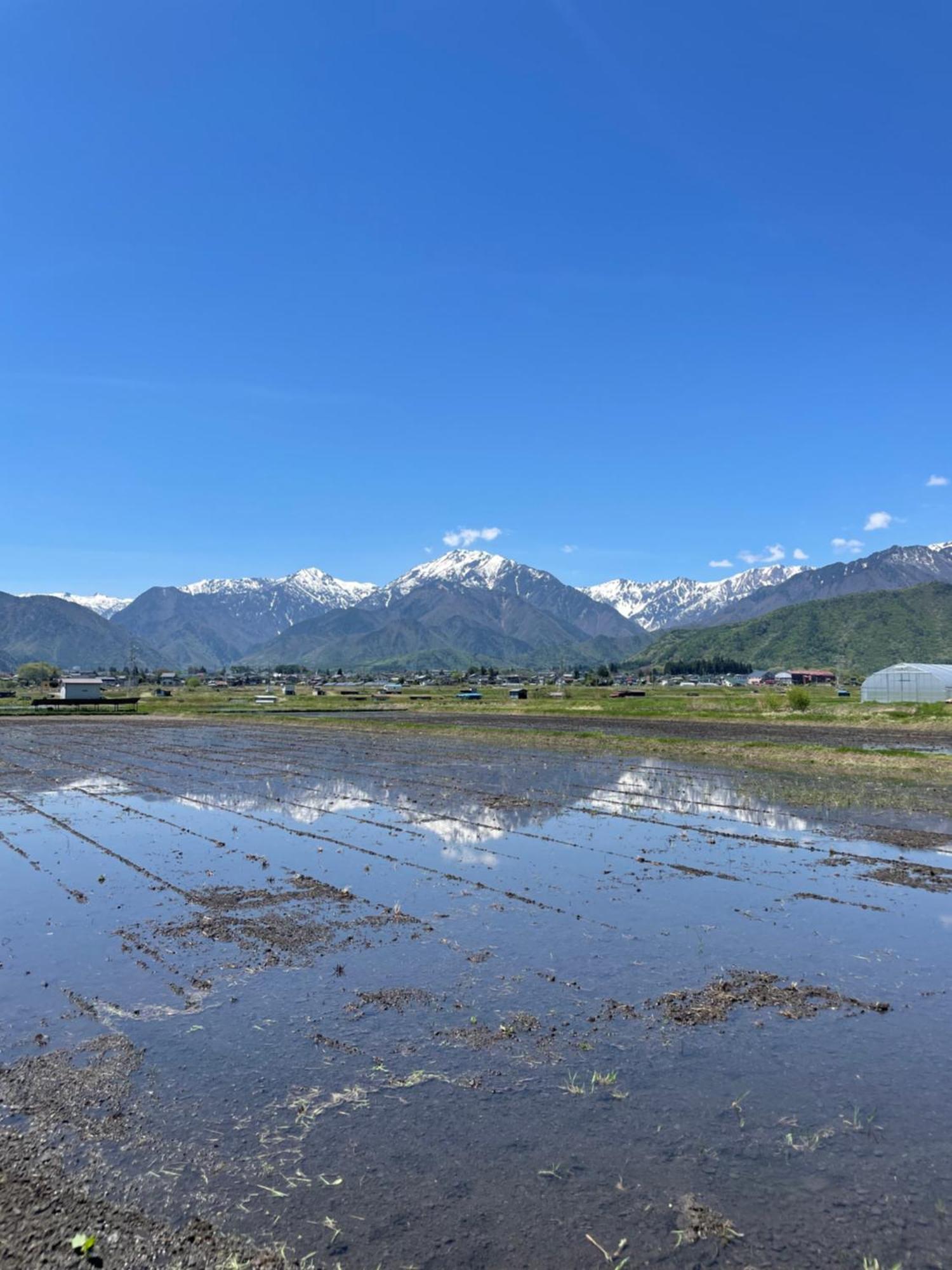 北アルプス麓のゲストハウス林屋 Omachi  Eksteriør billede